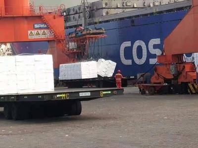 China Import Export DDP Shipping Service , China Qingdao To Spain Algeciras Ddp Sea Freight for sale