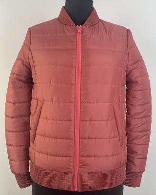 China 2021 China New Design Waterproof Windproof Ladies Padded Jacket With Zipper for sale