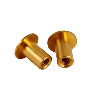 China High Torque And Pull Performance Stainless Steel Decorative Wood Brass Insert Chicago Steel Screw for sale