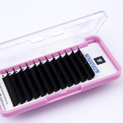 China 0.03 Super Soft and Light Bulk Wholesale Hot Selling Easy Thick Eyelashes Double Layer Fan Volume Lash Extension Fast Trays HERSQUEEN Best Price for sale