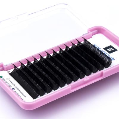 China Natural soft and natural looking 0.05 fluffy fan volume eyelash extensions plus 3D volume lashes ultra softer lighter tapered volume whips best price wholesale for sale