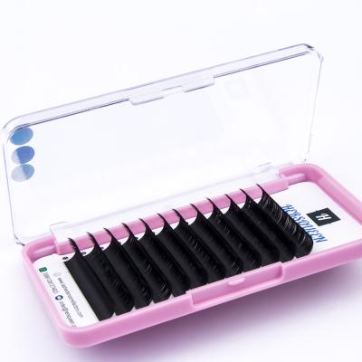 China Extremely Soft 0.07 pbt High Quality Korean Volume Eyelash Extensions Fan Russian Mega Fluffy Tapered Volume Eyelashes Lash Wholesale Supplier for sale