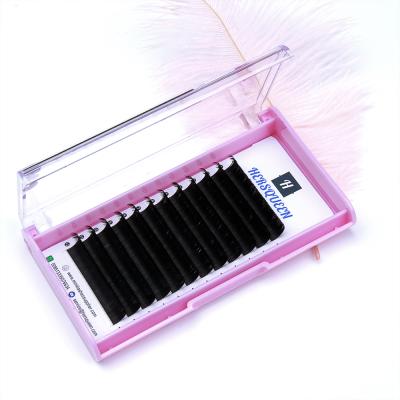 China Comfort Loop Lasting 0.10 New Classic Natural Eyelash Extensions Plus Fluffy 3D Person Lashing Lashes Professional Salon OEM Wholesale Supplier for sale