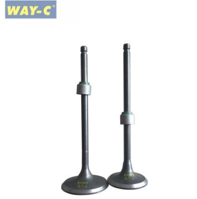 China 36JZ0001 Motorcycle Engine Valve Set Intake Exhaust Valve For BAJAJ BOXER BM150 for sale