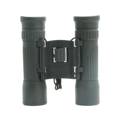 China Fully Coated 25mm Lens Roof Prism Binoculars For Clear Bird Watching for sale