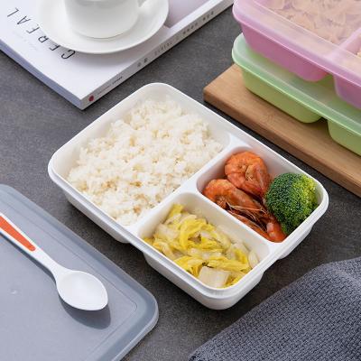 Cina Contenitori di plastica riutilizzabili del pranzo dei bambini, BPA Bento Lunch Box libero in vendita