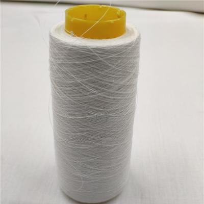 China 100% Sustainable Hemp Yarn For Weaving And Knitting Hemp Yarn In 60Nm Pure Hemp Yarn With Great Quality for sale