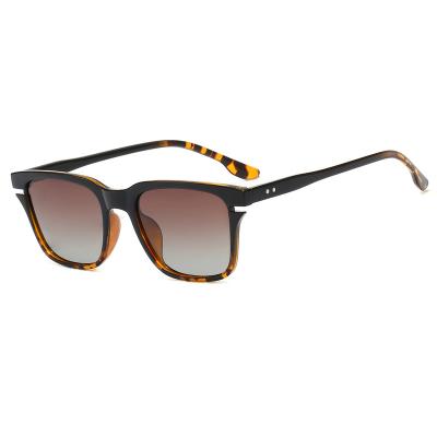 China Fashion sunglasses wholesale guaranteed latest quality unique fashion trend sunglasses for sale