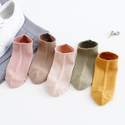 China Woman Antibacterial Cotton No Show Socks Style Boat Lady Eco-Friendly Causal Socks for sale