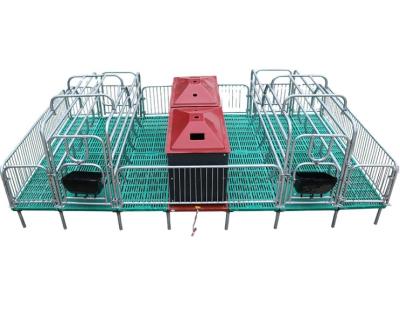 China Sow Pig Farm Farrowing Equipment Galvanized Pig Farrowing Crate for sale