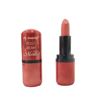 China Wholesale High Quality Waterproof Lipstick Private Label Makeup Cosmetic Waterproof Lipstick for sale