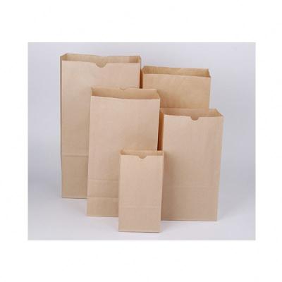 China Customized Expandable Eco-Friendly Big Disposable Cheap Folding Kraft Paper Bag For Grapes for sale