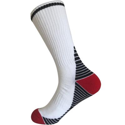 China Custom logo, design single cylinder Cushion Poly Fashion Stripes Outdoor Sport Socks for sale