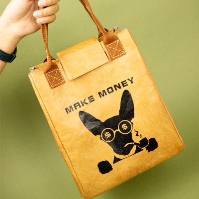 China New Literary PICNIC Dupont Meal Paper Bag Insulated Bag Aluminum Foil Thickened Tyvek Lunch Bag for sale