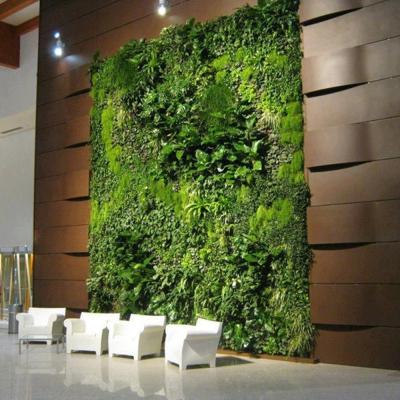 China Artificial Grass Wall Green Plant Panel Fence Panel Plant Sale DIY Design Vertical Hedge Garden for sale