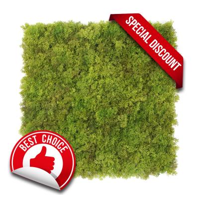 China Factory sale good quality fireproof real touch faux foam plastic artificial green wall panel for sale