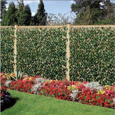 China Sunwing Green Garden Decor Willow Fence Trellis Hedges Wall Easily Gathered Expandable Grass B022 for sale