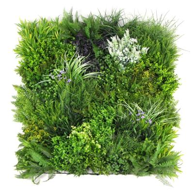 China Factory Direct Sale Sunwing 1x1m Decorative Natural Vertical Landscape Garden Screen Green Wall for sale