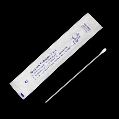 China Disposable Sterile Specimen Collection DNA Sample Flocked Anal Swabs Test Stick for sale