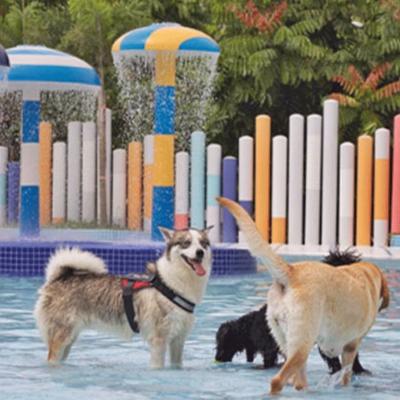 China Water Park Cenchi Backyard Dog Splash Pad Mushroom Water Spray Playground for sale