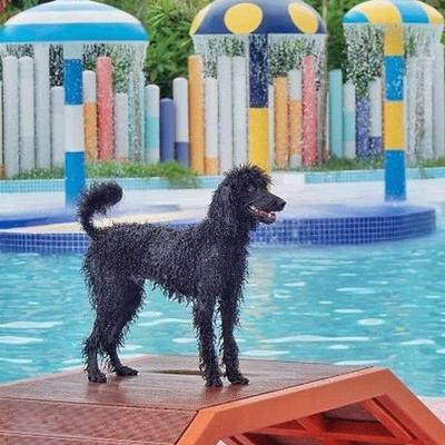 China Cenchi Dog Playground Water Gun Water Game Water Park Splash Pad Animal Park Equipment for sale