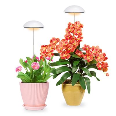 China Hot selling height adjustable umbrella tiktok decorative indoor smart garden led growing light usb for sale