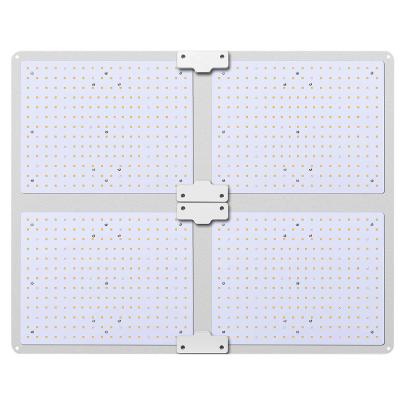 China Seed Starting 460w Samsung Quantum 6000k Led Grow Light for sale