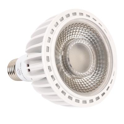 China Hotel LED PAR30 Bulbs Lamp Flood Light For 4S House Store Home Clothing Store Jewelry Store for sale