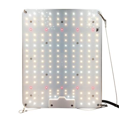 China Dimmable 2.4umol/J 100W Led Factory Grow Light New Design SMD3030+IR Full Spectrum Led To Grow Light Dimmable Led Grow Light for sale