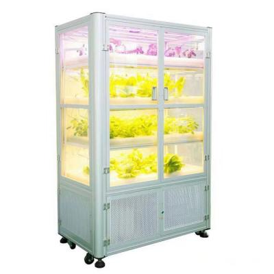 China Dimable 2022 super quality hydroponic grow box/grow cabin for whole sets of growing plants/green houses to grow systems for sale