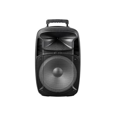 China USB/SD/FM/LCD Dsp DJ Polinata 15 Inch Subwoofer Speaker USB SD EQ FM Amplifier For DJ Sound System Cabinet Active Speaker Plastic Box for sale