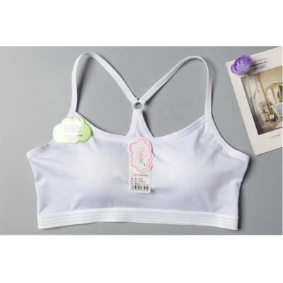 China Anti-Static Ready To Ship Low Price Comfortable Soft Cotton Padded School Teens Girl Bra for sale