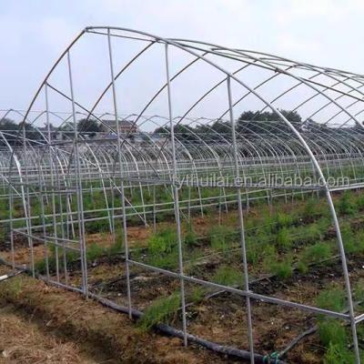 China Stable Structure Easily Assembled Commercial Plastic Sheet Tunnel Greenhouse Galvanized Transparent Agriculture Greenhouse Tunnel Garden Greenhouse for sale