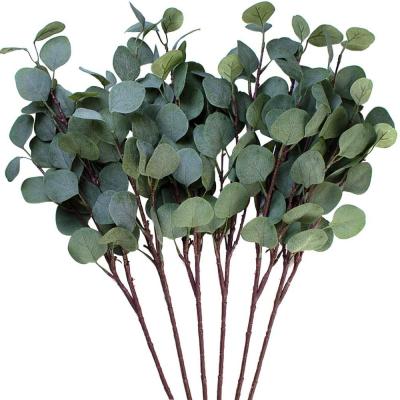 China Faux Eucalyptus Leaves Artificial Flower Silk Silver Dollar Eucalyptus Leaf ER-P01 for sale