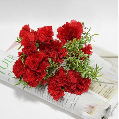 China Realistic Best Selling 20 Heads Artificial Carnation For Mother's Day for sale