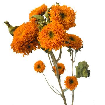 China Wedding Party Store Hotel Factory Flower Bouquets Eternal Sunflowers Flower Wholesale Dry Materials Retro for sale