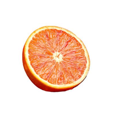 China Fresh Fresh Blood Oranges Full of Anthocyanin and Natural Citrus 100% Vitamin C Taste Fresh Tangerine for sale