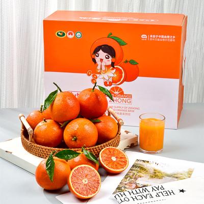 China Wholesale Fresh Chinese Fresh Natural Sweet Farm Citrus Citrus Blood Oranges Tangerine for sale