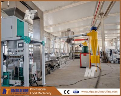 China PLC Control Peanut Roasting And Blanching Line Blanched Peanut Processing Plant Blanched Peanut  for sale