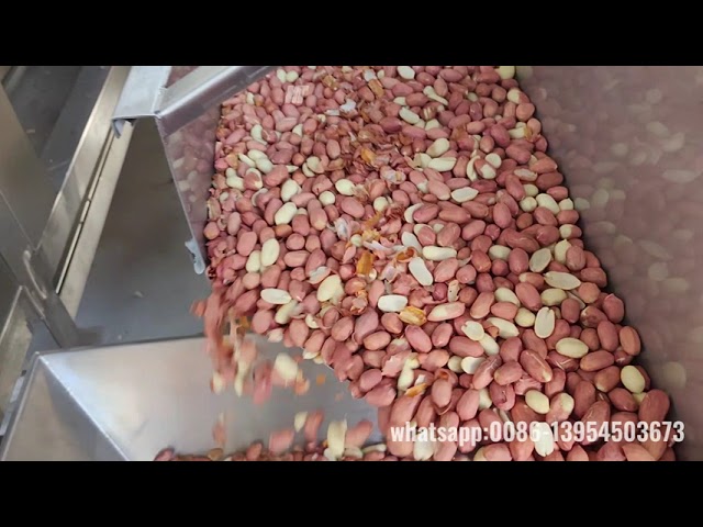 Blanched peanut processing plant/Remove red skin by air