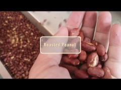 Continuous Nuts Oven/ Roast Peanut Almond Cashew Nut Hazelnut