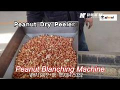 200kg/h peanut skin removing machine iso almond blanching machine