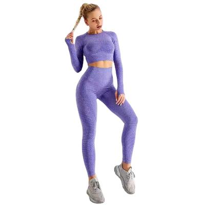 China Yoga Sets Mesh Long Sleeve Sports Running Women High Waist Breathable Seamless Gym Yoga Sets Slim Fitness Embroidery OEM for sale