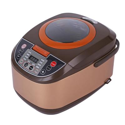 China Digital Display Multi House Utilize 5L Electric Rice Cooker And Warmer With Handle for sale