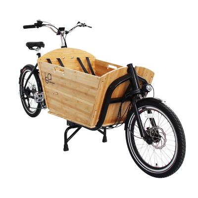 China Passenger 2 wheeled cargo bike 250W cargo bike box tricycle two wheel drive two wheels bamboo bamboo bikes for sale for sale