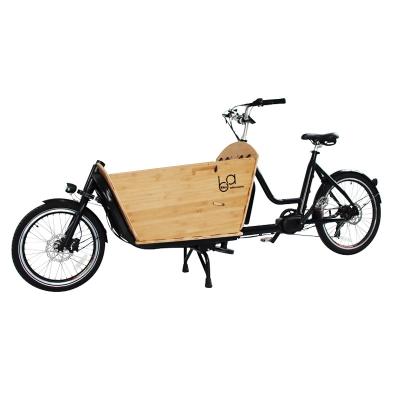 China Passenger New Arrive Bamboo Cargo Bikes Family 2 Wheel Bicycle For Kids Mid Drive Two Wheel Cargo Bikes With Rain Cover for sale