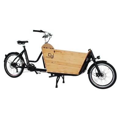 China Long Passenger John Bike Electric 2 Wheel Cargo Bike Baby Front Cargo Bike With Rain Cover And Seat Belts for sale