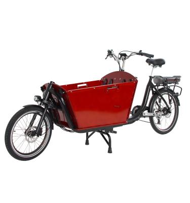 China Electric Passenger 2 Wheel And Pedal E Cargo Bike For Sale Adult Bike 36V 250W For Cargo Groceries Family Use for sale