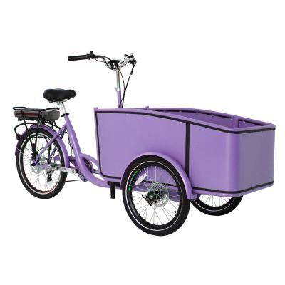 China Passenger Colors Customized Lithium Battery Three Wheeled Family Bike Carry Baby Cargo Bike For Delivery for sale