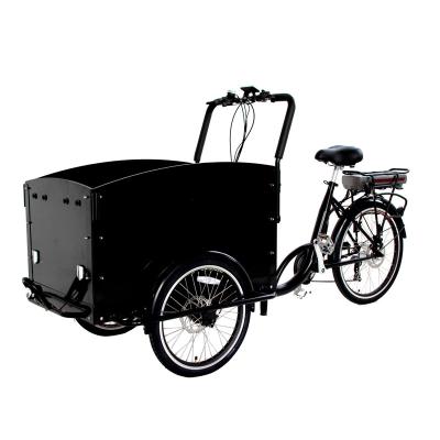 China Cheap Passenger Three Wheel Cargo Bike 36V 250W China Supplier Heavy Loading Tricycle Bike 25km/h for sale